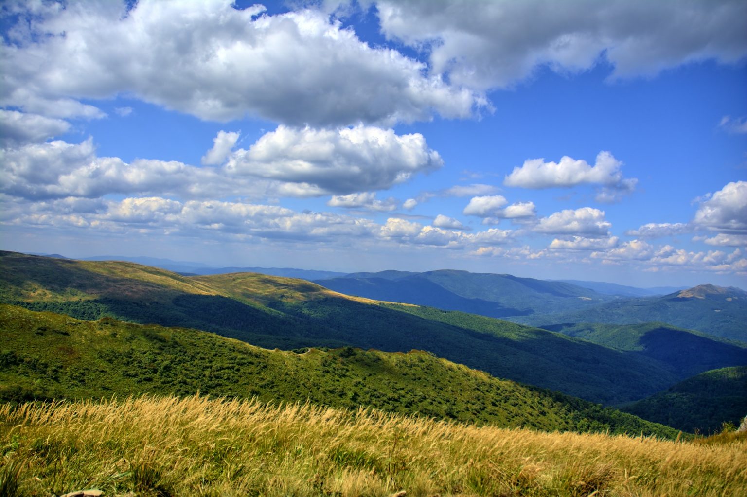 bieszczadzki-park-narodowy-w-liczbach-odkryjbieszczady-pl