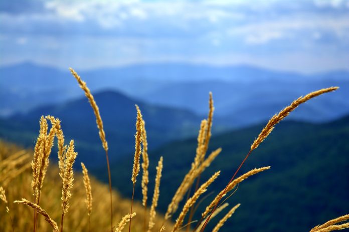 bieszczady-1002431_1280