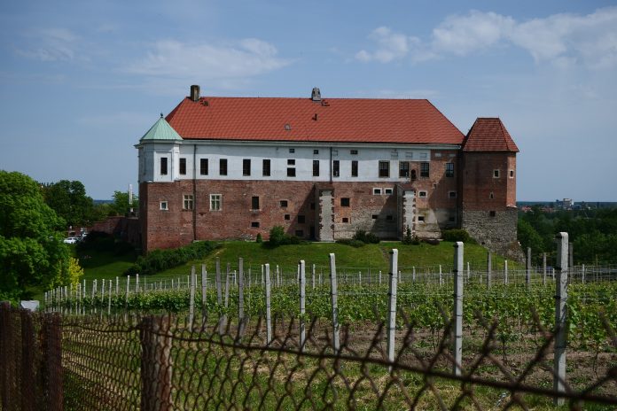 sanok-5281853_1920