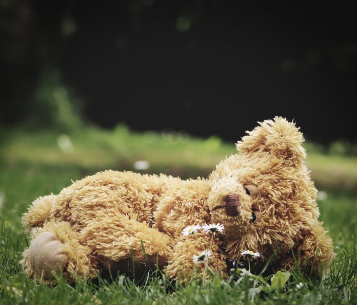 teddy-5002409_1920