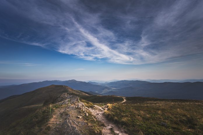 pexels-marek-piwnicki-5878118